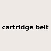 cartridge belt是什么意思