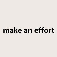 make an effort是什么意思