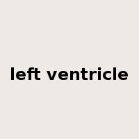 left ventricle是什么意思