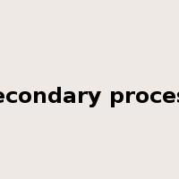secondary process是什么意思