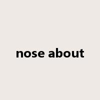 nose about是什么意思