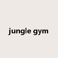 jungle gym是什么意思