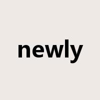 newly是什么意思