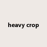heavy crop是什么意思