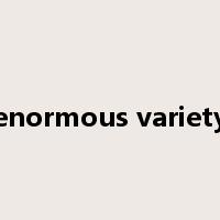 enormous variety是什么意思