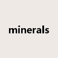 minerals是什么意思