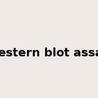 western blot assay是什么意思