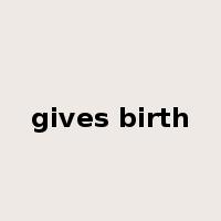 gives birth是什么意思