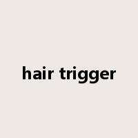 hair trigger是什么意思