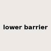 lower barrier是什么意思
