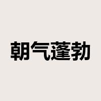 朝气蓬勃是什么意思