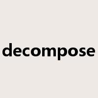 decompose是什么意思