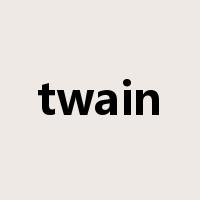 twain是什么意思