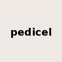 pedicel是什么意思