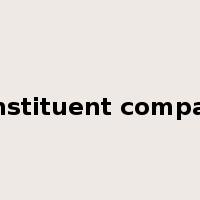 constituent company是什么意思
