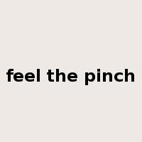 feel the pinch是什么意思