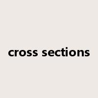 cross sections是什么意思