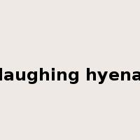 laughing hyena是什么意思