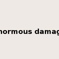 enormous damage是什么意思