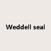 Weddell seal是什么意思