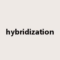 hybridization是什么意思
