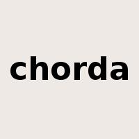 chorda是什么意思