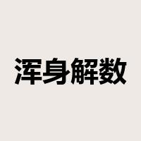 浑身解数是什么意思