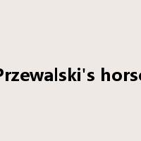 Przewalski's horse是什么意思