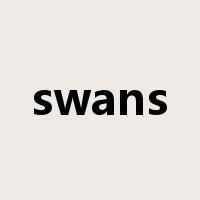 swans是什么意思