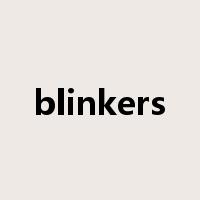 blinkers是什么意思