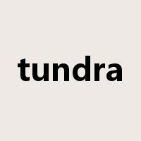 tundra是什么意思