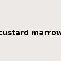custard marrow是什么意思