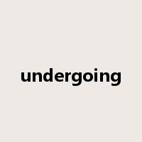undergoing是什么意思