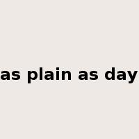 as plain as day是什么意思