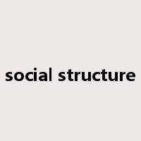 social structure是什么意思