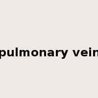 pulmonary vein是什么意思