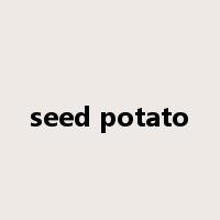 seed potato是什么意思
