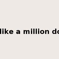 look like a million dollars是什么意思