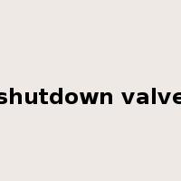 shutdown valve是什么意思