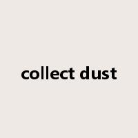collect dust是什么意思