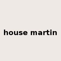 house martin是什么意思