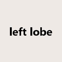 left lobe是什么意思