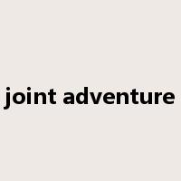 joint adventure是什么意思