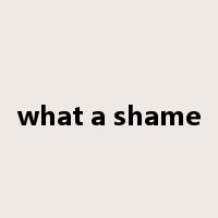 what a shame是什么意思