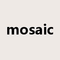 mosaic是什么意思