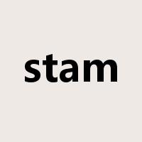 stam是什么意思