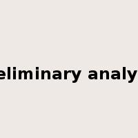 preliminary analysis是什么意思