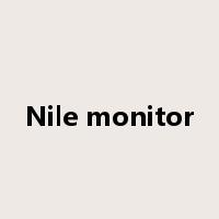 Nile monitor是什么意思