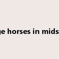 change horses in midstream是什么意思