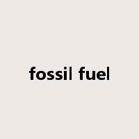 fossil fuel是什么意思